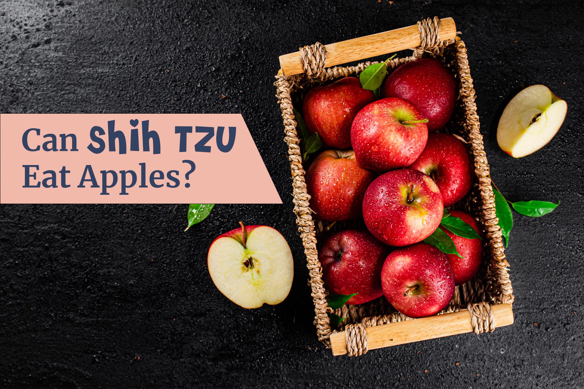 Can Shih Tzu eat apples? The answer to this question is a resounding "yes!" However, there are some things that you need to consider before feeding your Shih Tzu apples.