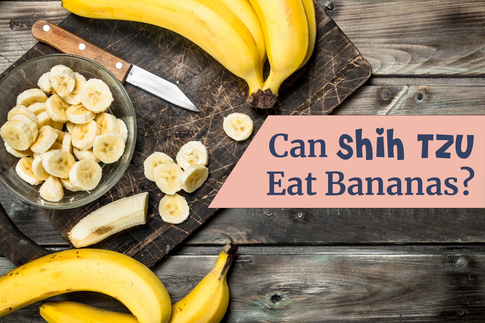 Can Shih Tzu eat bananas? Yes, Shih Tzu can eat bananas but there are some important things to consider first