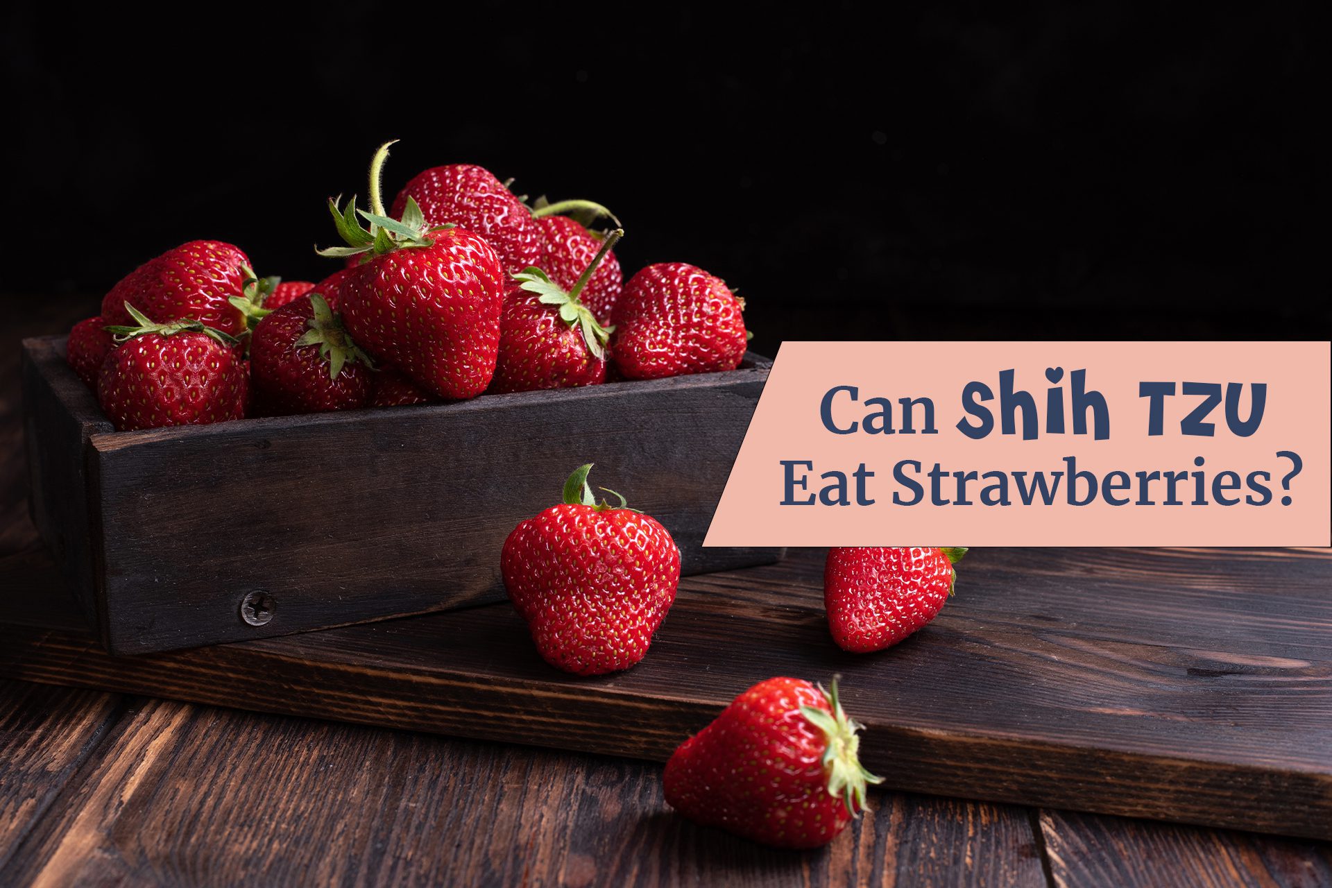 Can Shih Tzu eat strawberries? Shih Tzus are small dogs with big personalities. Strawberries are a delicious and nutritious fruit. However, some people believe that strawberries may be harmful to Shih Tzus. The truth is that strawberries are safe for Shih Tzus to eat in moderation.