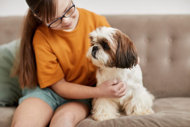 Best Companion For Shih Tzu: Human, Dogs, Or Cats?