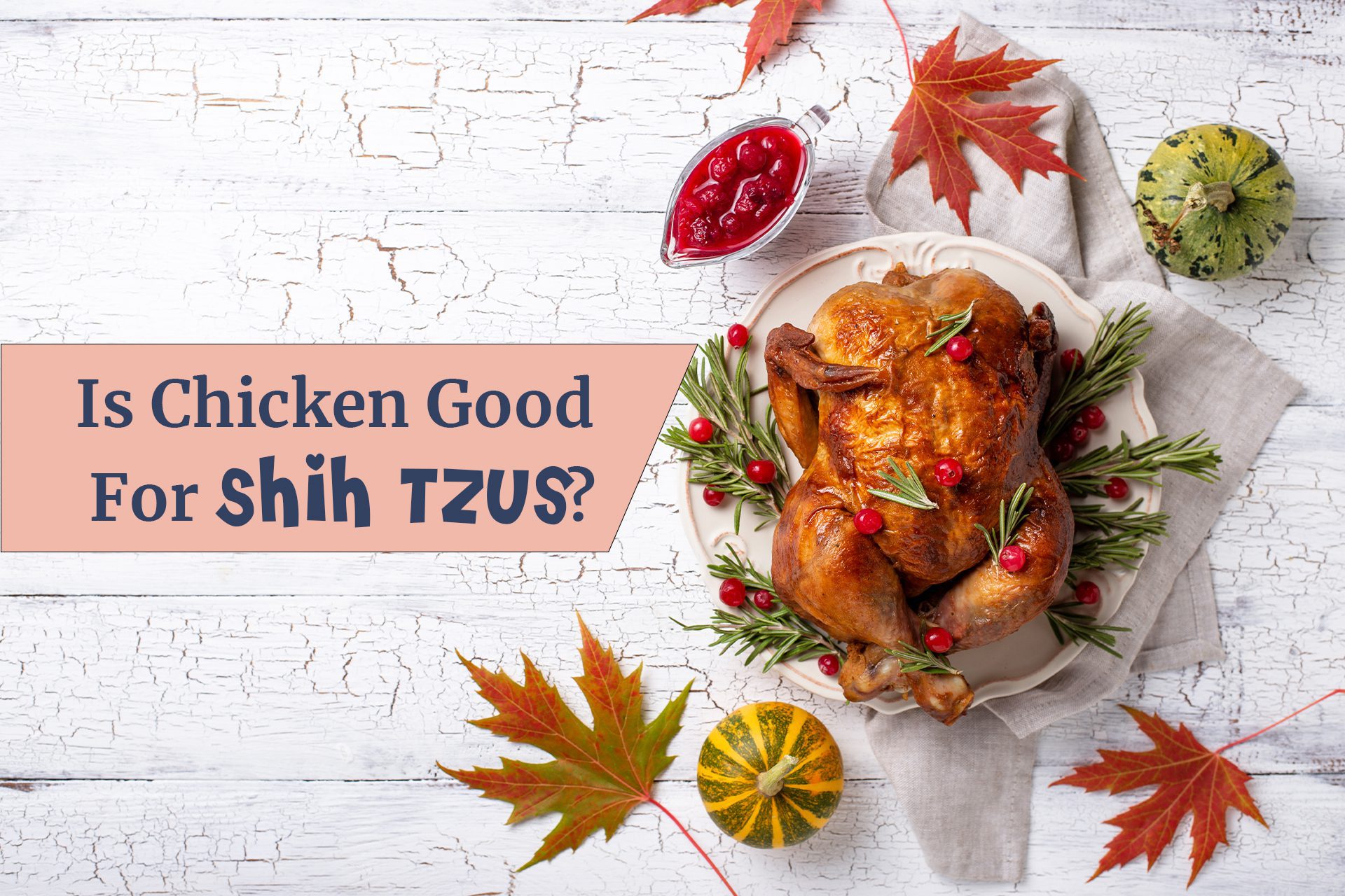 Is chicken good for Shih Tzu?