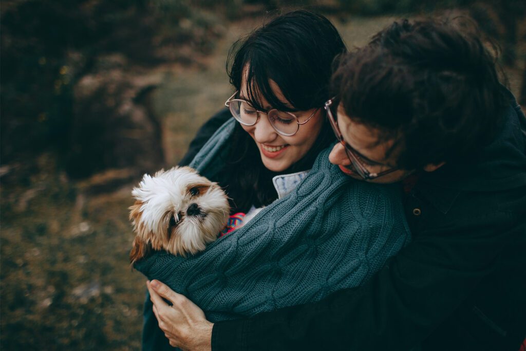 Pros and cons of a Shih Tzu