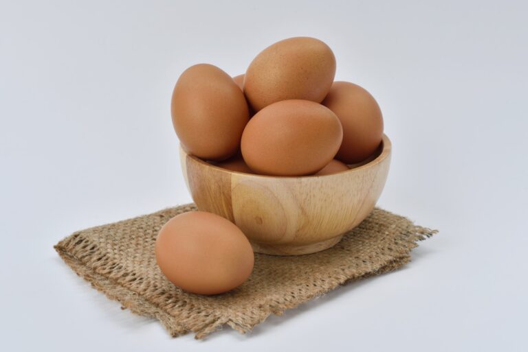 Can Shih Tzu Eat Eggs: Health Benefits & 5 Potential Risks