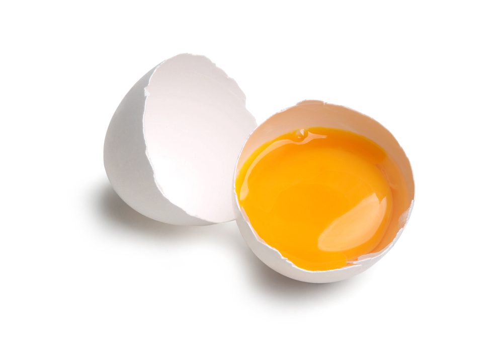 Can Shih Tzu eat raw eggs