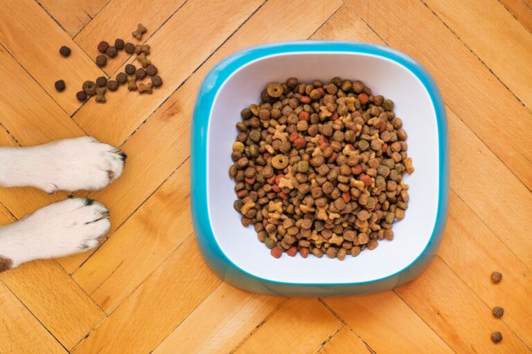 Unleashing the Benefits: Is Cesar Dog Food Good for Shih Tzus?