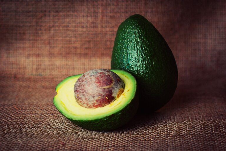 Can Shih Tzus Eat Avocado? Unveiling the Truth