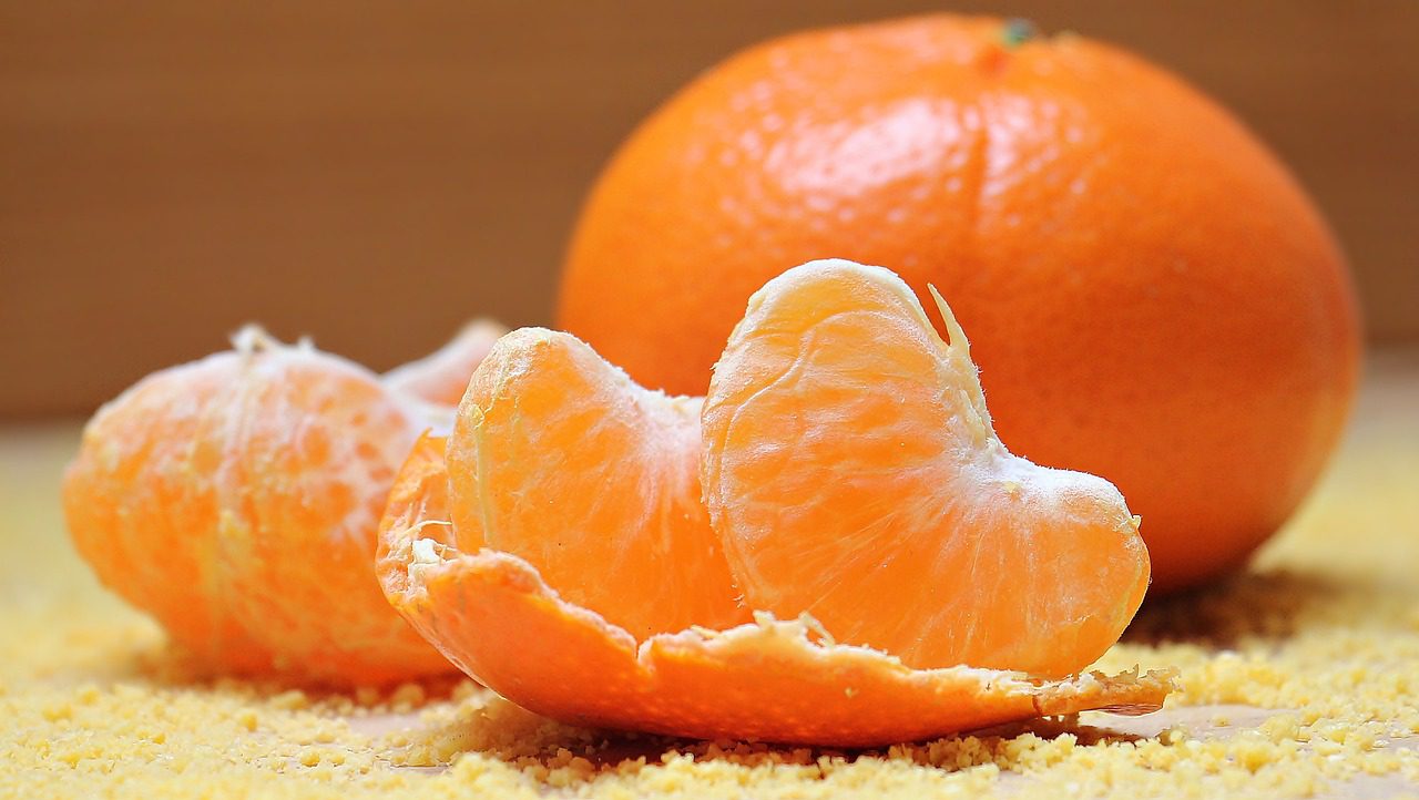 Can Shih Tzus eat oranges
