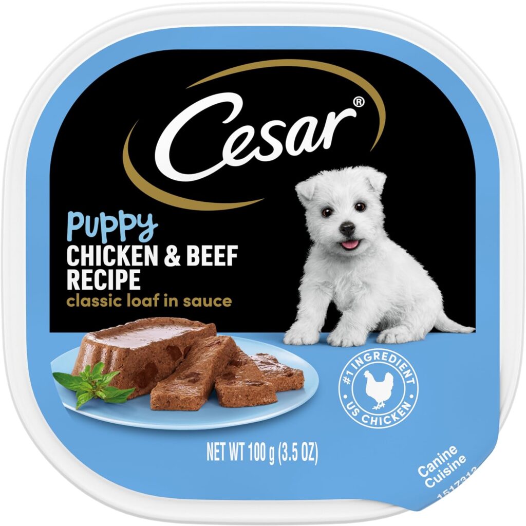 CESAR Puppy Soft Wet Dog Food