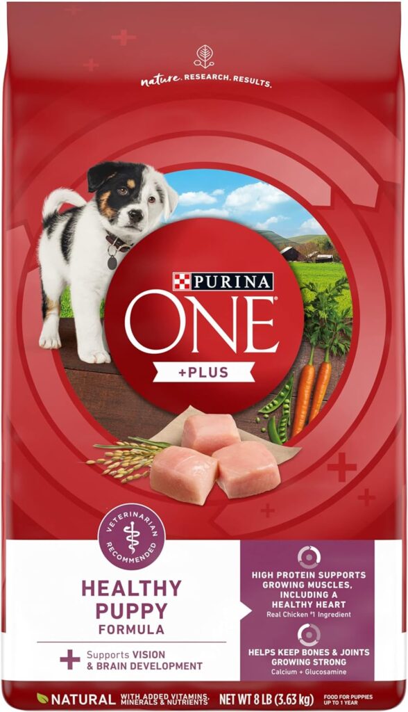 Purina ONE Plus Healthy Dry Puppy Food
