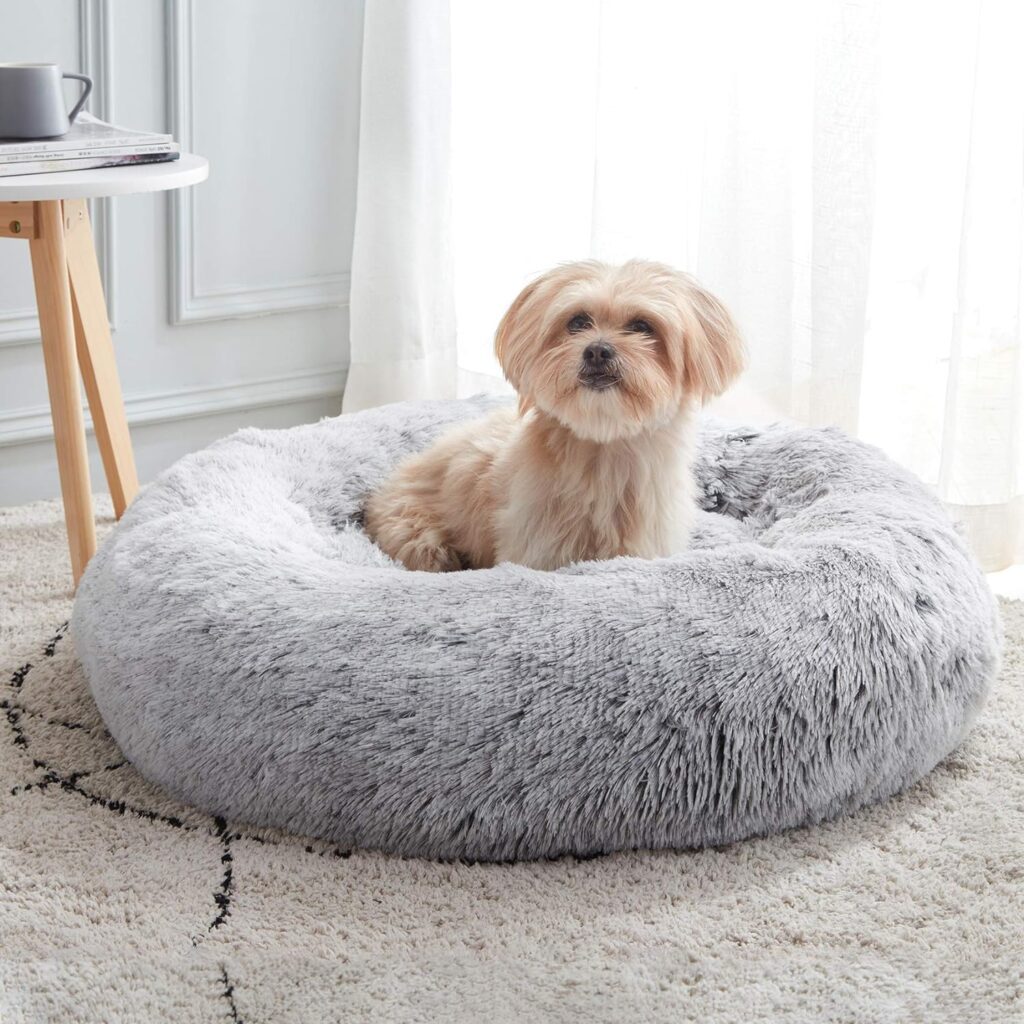 best dog bed for shih tzu